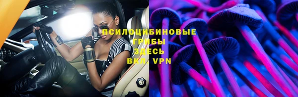 стафф Абинск