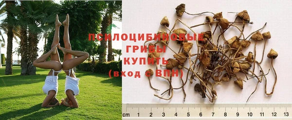 амф Абдулино
