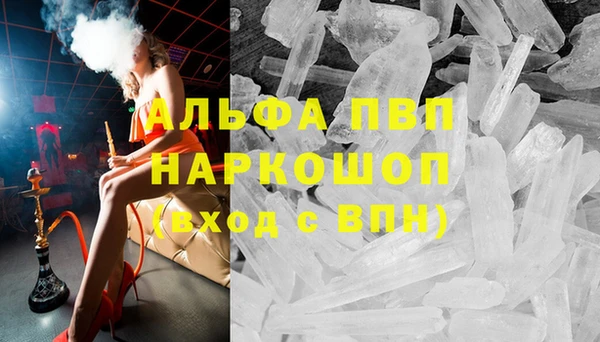 стафф Абинск