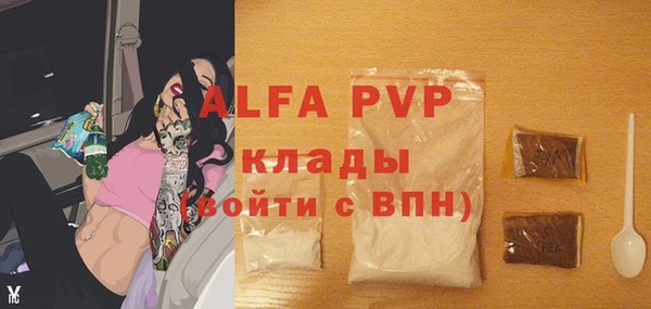 стафф Абинск